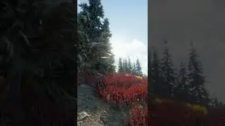 Walking in Crimson Plain Forest - theHunter: Call of the Wild | Relaxing Virtual Walk in Alaska