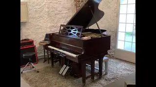 Pianola: Functional (Theolonius Monk) interpr&eacute;t&eacute; par Budo Saurus.