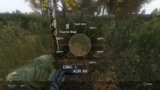 DayZ Headsot snipe