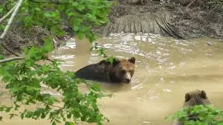 Become a Member at Bristol Zoo Project