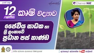 ජෛවීය සාධක හා ශ්‍රී ලංකාවේ ප්‍රධාන පස් කාණ්ඩ - 12 ශ්‍රේණිය (කෘෂි විද්‍යාව)