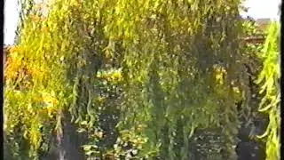 Giardino mag 1991