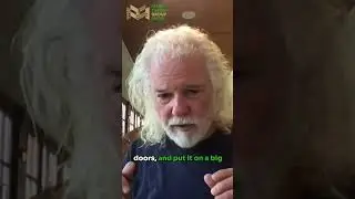 What is cross laminated timber? #CLT with Chuck Leavell of the Rolling Stones