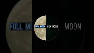 New Moon vs Full Moon ! Moon Phases ! Amavasya And Purnima ! Chandrama #shorts