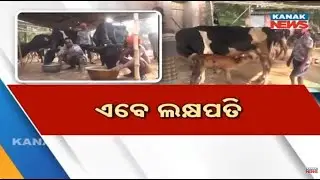 Bazaar Halchaal: The Inspiring Dairy Farming Story Of Devendra Das