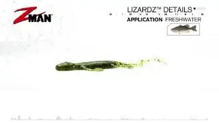 2016 Project Z Breaking Down The Bait LizardZ