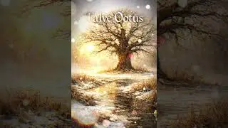 Talve Ootuses
