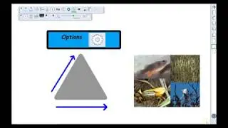 How to Use Options and Change Object Properties in XPress