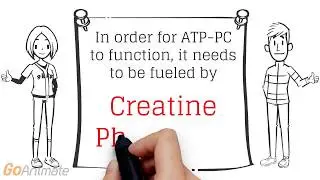 ATP-PC system