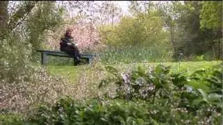 Docton Mill Gardens and Tea Room, Hartland, North Devon