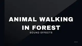 Animal Walking In Forest Free Sound Effects No Copyright Music For Videos