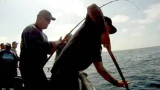 ATFISHING YELLOWTAILS - TORRES CHARTER