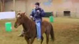 Horsemanship 2