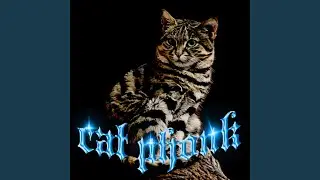 CAT PHONK