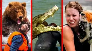 5 Disturbing human and wild animal encounter caught on camera #scary  #horror  #creepy 