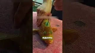 Как мгновенно и без боли убить рыбу &mdash; японский способ 🎣🇯🇵