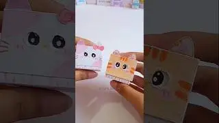 Try this cat blinking cube😺🎀✨#diy #craft #kitty #cat #papercraft #shorts