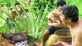 Cooking wild chicken eggs in pineapple and eating delicious