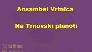 Ansambel Vrtnica - Na Trnovski planoti