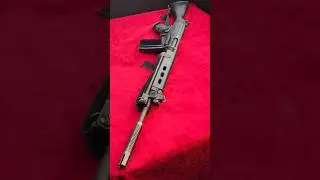 FN FAL Imbel & Stg 58 Right Arm of the Free World