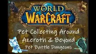 Pet Collecting Around Azeroth & Beyond: Pet Battle Dungeons