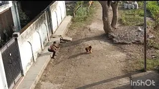 बच्चों के साथ सर दर्द🙂‍↕️🙂‍↕️