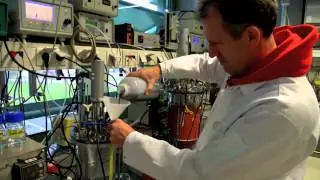 Methane-munching bacteria that can help save the environment