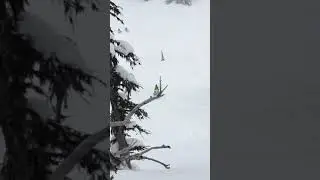 Yamaha Sidewinder Steep n Deep!