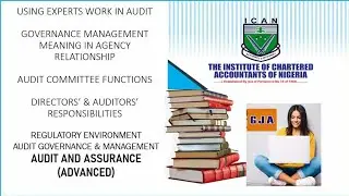 GOVERNANCE MANAGEMENT MEANING IN AUDIT & ASSURANCE - EXPERT WORK- COMMITTEE FUNCTIONS-DIRECTOR RESPO