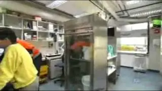 Scientists examine threats to krill
