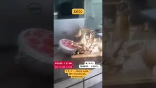 MINI AARTI ZALAR NAGARA SHANKH MOR  - ANCO