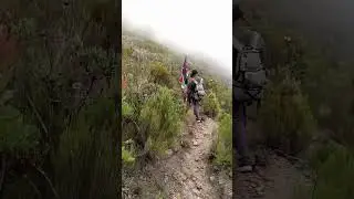MT KENYA CLIMBING #livestream #goodmanholidays#places to visit in kenya