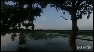 A Day in Assam (Tihu Town)