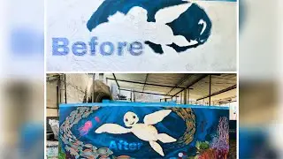 දවස් 7ක ප්&zwj;රතිපල විනාඩි 5න්. Wall mural on turtle tank (Albino)#saveturtles