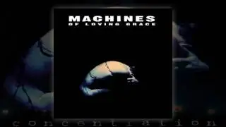 MACHINES OF LOVING GRACE - Trigger For Happiness