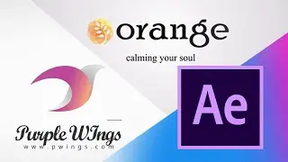 Logo Reveal Intro-Outro After effects template