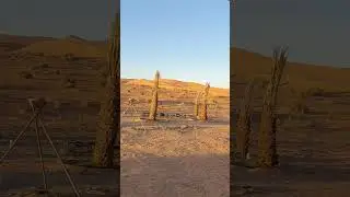 Authentic desert camp
