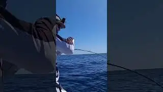 Nothing better then a fast jigging bite!