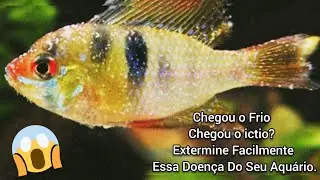 Ictio