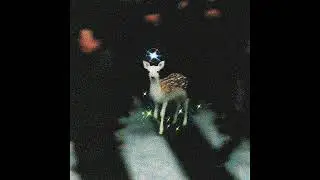 [Free] Melodic Boom Bap Rap Beat | Think of Flow