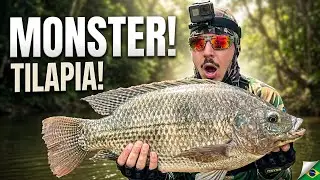 Air Speargun Fishing &ndash; ARX Tactical in Action! Monster Tilapia & Pro Tips for Precision Shots 🎣