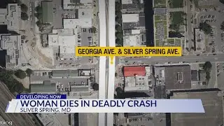 Woman dies after being struck by vehicle on Georgia Avenue in Montgomery County
