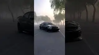 C🖤t #viralvideo #srtnation #fye #srtnation #viralvideo