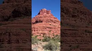 Arizona #travel #roadtrip #florida #beach #paddleboarding #snorkeling #outdoors #wildlife #gators