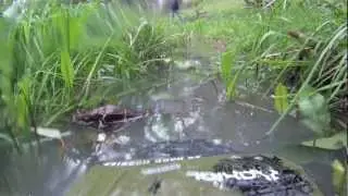 RC TRAIL ADVENTURES - AXIAL SCX10'S - GOPRO CHALLENGE