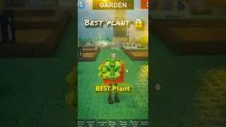 New Romanesco Plant 😳 #roblox #growagarden #growagardenroblox #growagardenupdate #alexacts #gaming