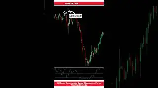 Williams Percentage Range Divergence Forex Trading Strategy