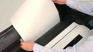 Загрузка бумаги: листы бумаги (TM-305)