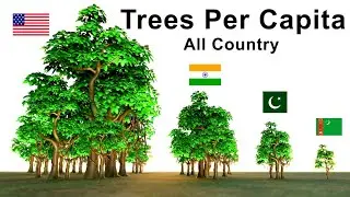 National Tree Of Different Countries | Flags And Countries Name @Dataabout