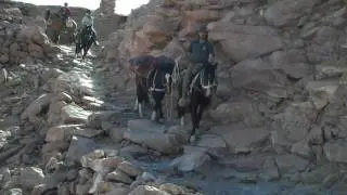 Horse Riding Holiday Chile Atacama Desert Unicorn Trails